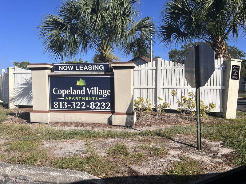 Move In Ready! - 1256 E 113th Ave Tampa, FL 33612 property image