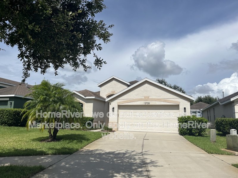 Now Available! - 12728 Avelar Creek Dr, Riverview property image