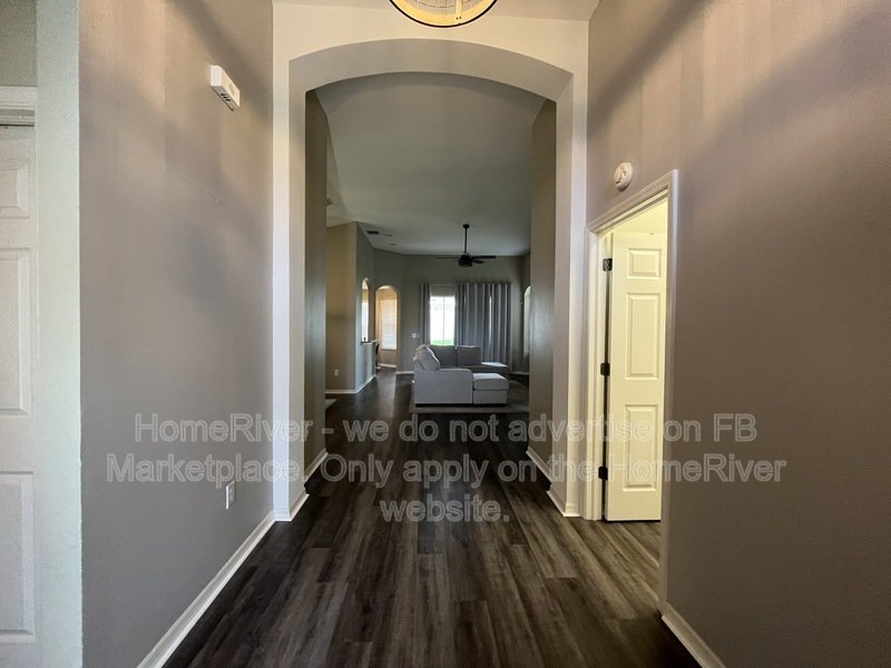 Now Available! - 12728 Avelar Creek Dr, Riverview property image