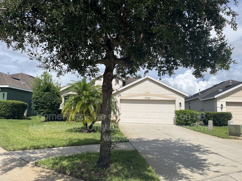 Now Available! - 12728 Avelar Creek Dr, Riverview property image