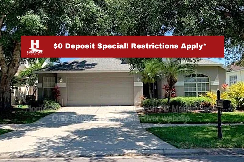 Coming Soon - 10434 Lightner Bridge Dr, Tampa property image