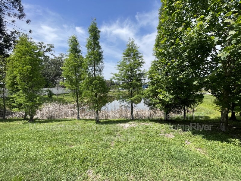 Coming Soon! - 10113 CANDLEBERRY WOODS LN GIBSONTON FL 33534 property image