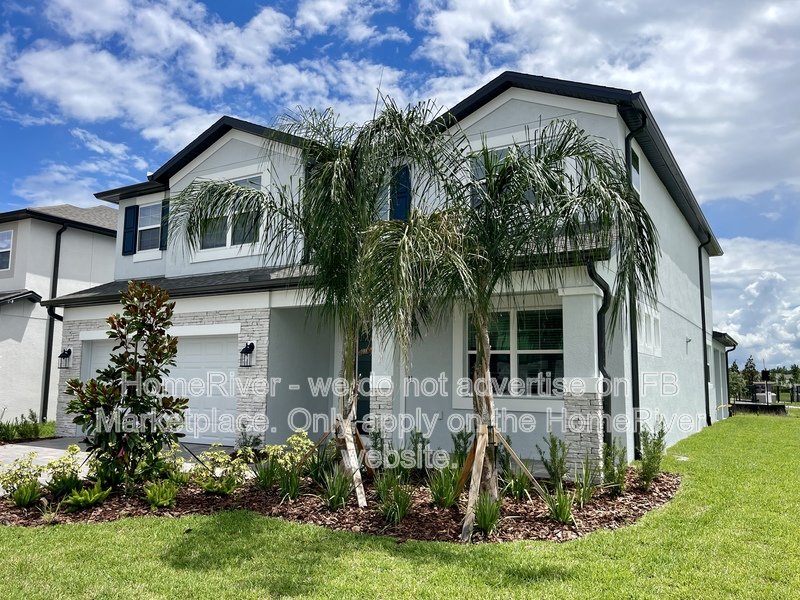Move In Ready! - 10701 New Morning Dr Tampa, FL 33647 property image