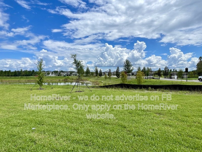 Move In Ready! - 10701 New Morning Dr Tampa, FL 33647 property image