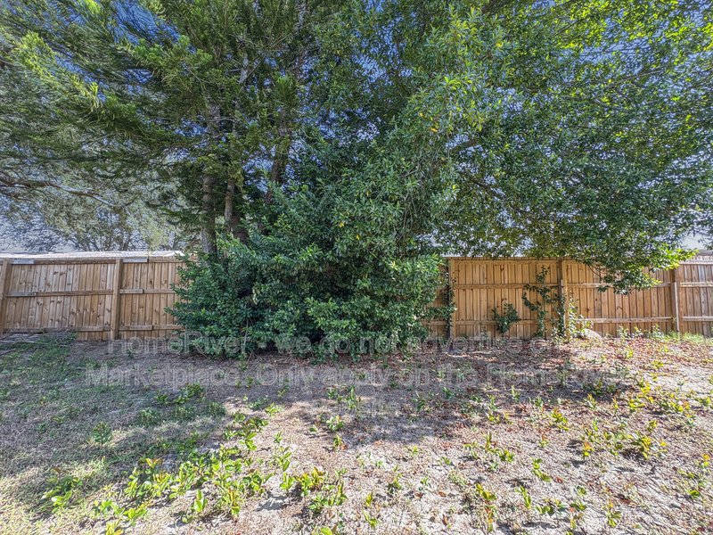 Available Now! Amazing 3 bed 1 bath! property image