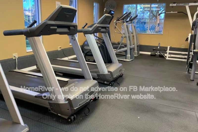 Do Not Miss Out! - 30127 Barnaby Lane Wesley Chapel, FL 33543 property image