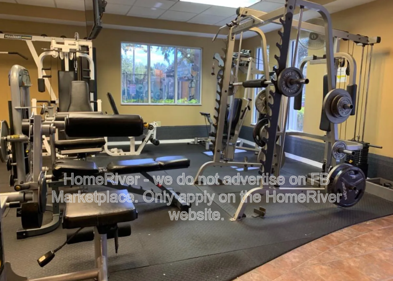 Do Not Miss Out! - 30127 Barnaby Lane Wesley Chapel, FL 33543 property image