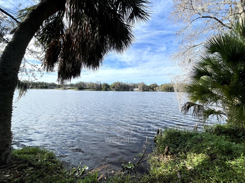 Water front &amp;amp;amp;amp; Gated Community 7344 E Bank Dr Tampa, FL 33617 property image