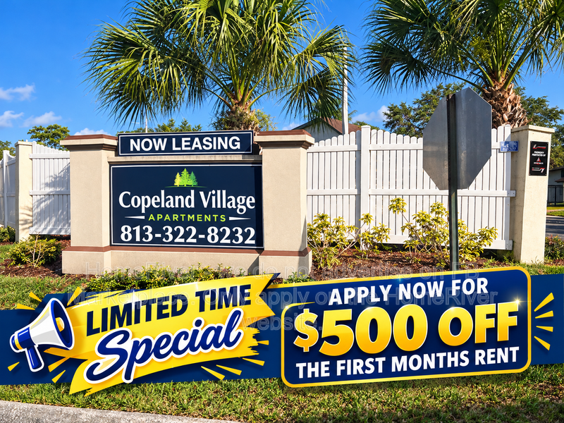 Move In Ready! - 1256 E 113th Ave Tampa, FL 33612 property image