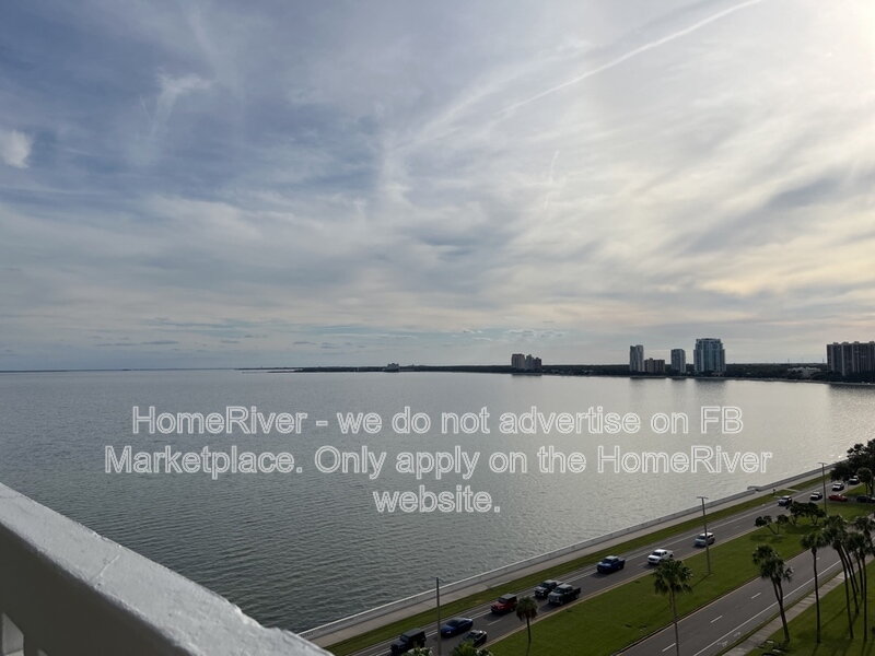 Move In Ready! - 2401 BAYSHORE BLVD UNIT 1211 TAMPA FL 33629 property image