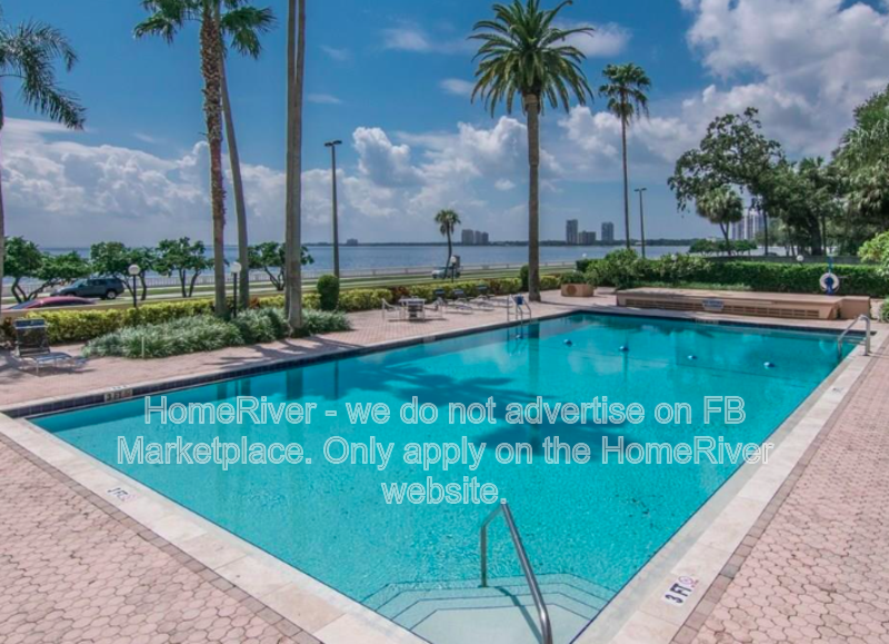 Move In Ready! - 2401 BAYSHORE BLVD UNIT 1211 TAMPA FL 33629 property image